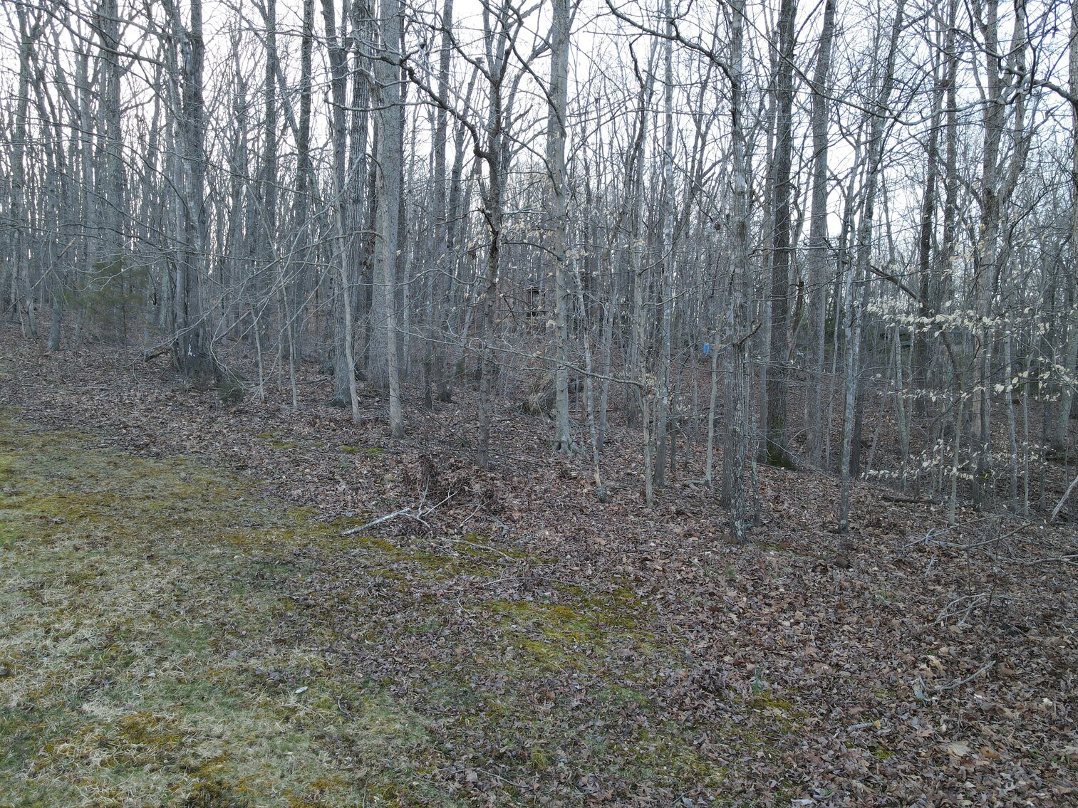 Image for 281  Victoria Lane,  Rustburg, VA  24588