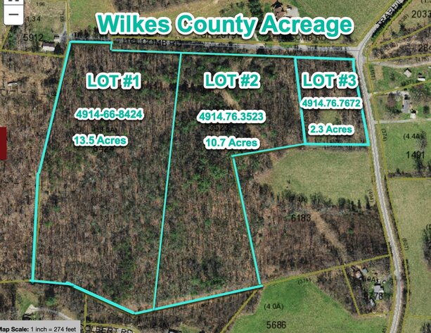 Image for Wilkes County Acreage Auction