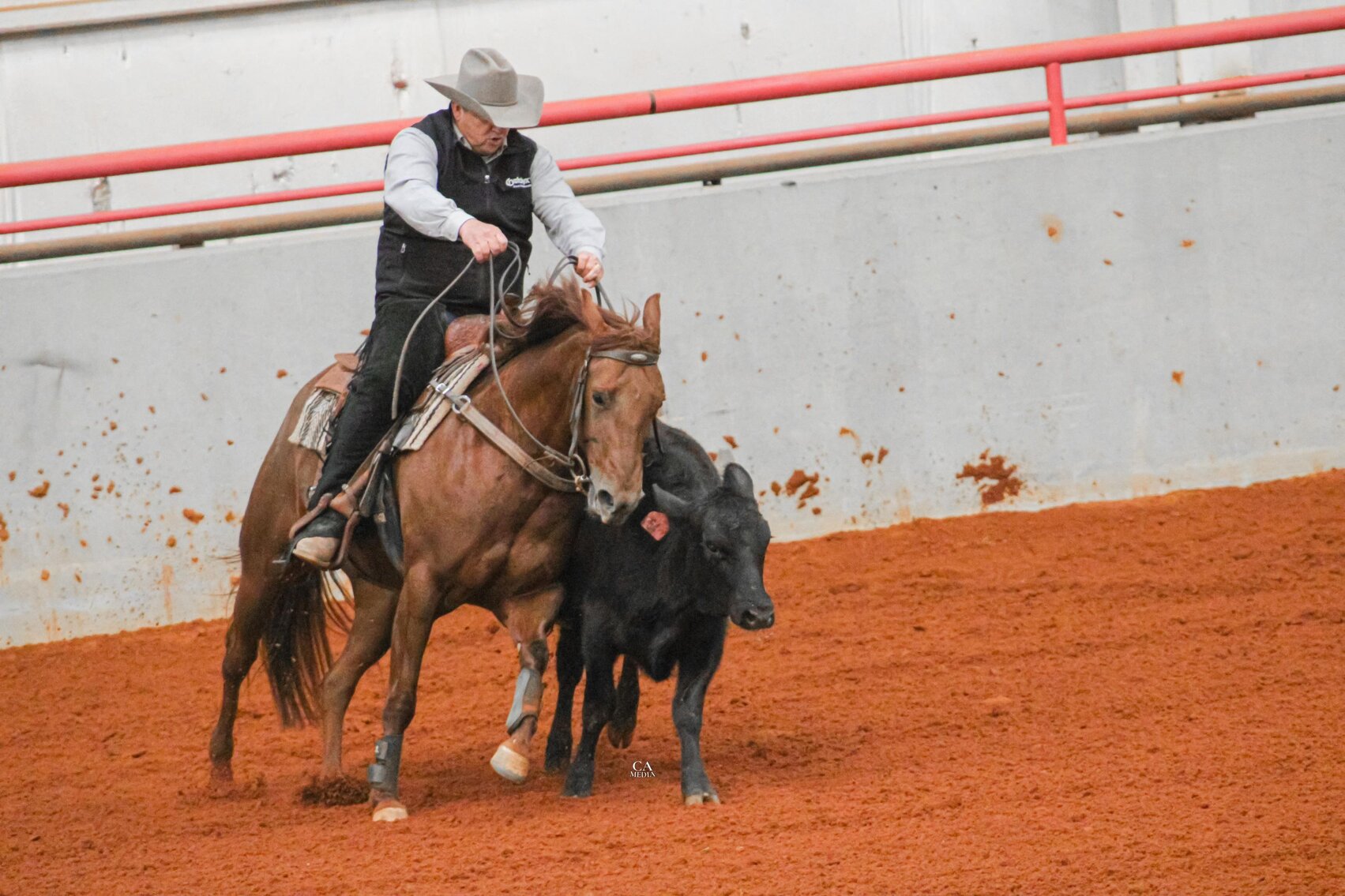 Image for Carolina Horsemans Connection at Tryon International - Mill Spring, NC March 25th