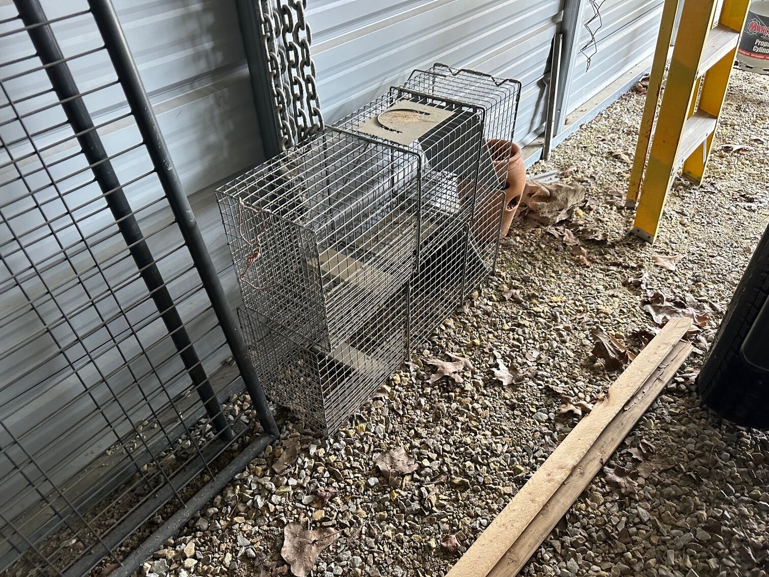 Image for SATURDAY, MARCH 25TH, AT 10 AM