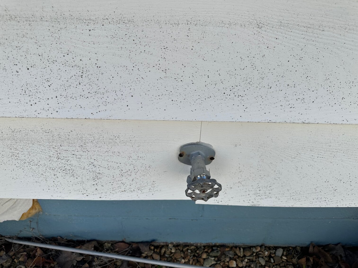 Image for FRIDAY, APRIL 7TH, AT 10 AM