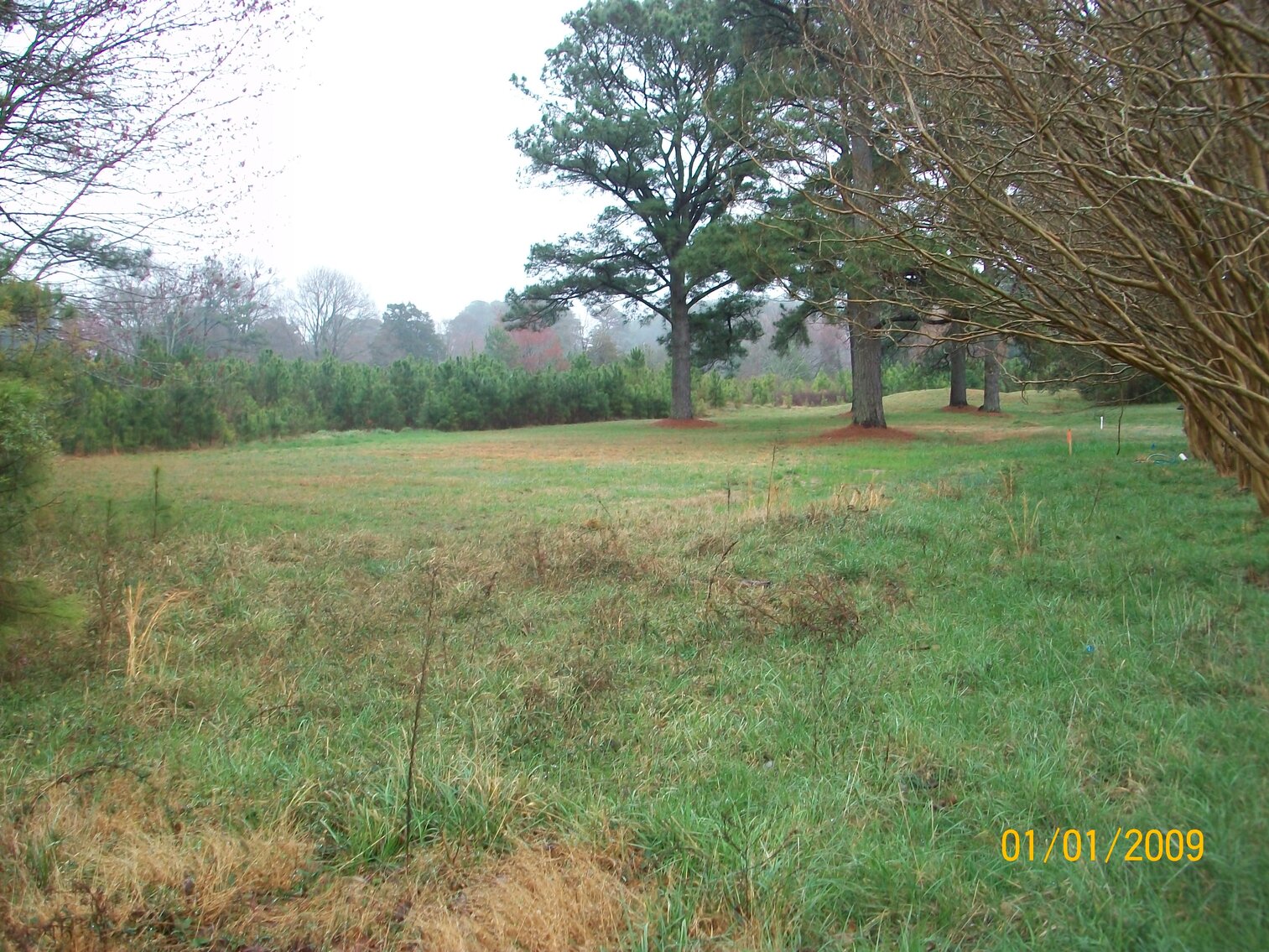 Image for Absolute Auction - Blue Ridge Bank - Weems VA