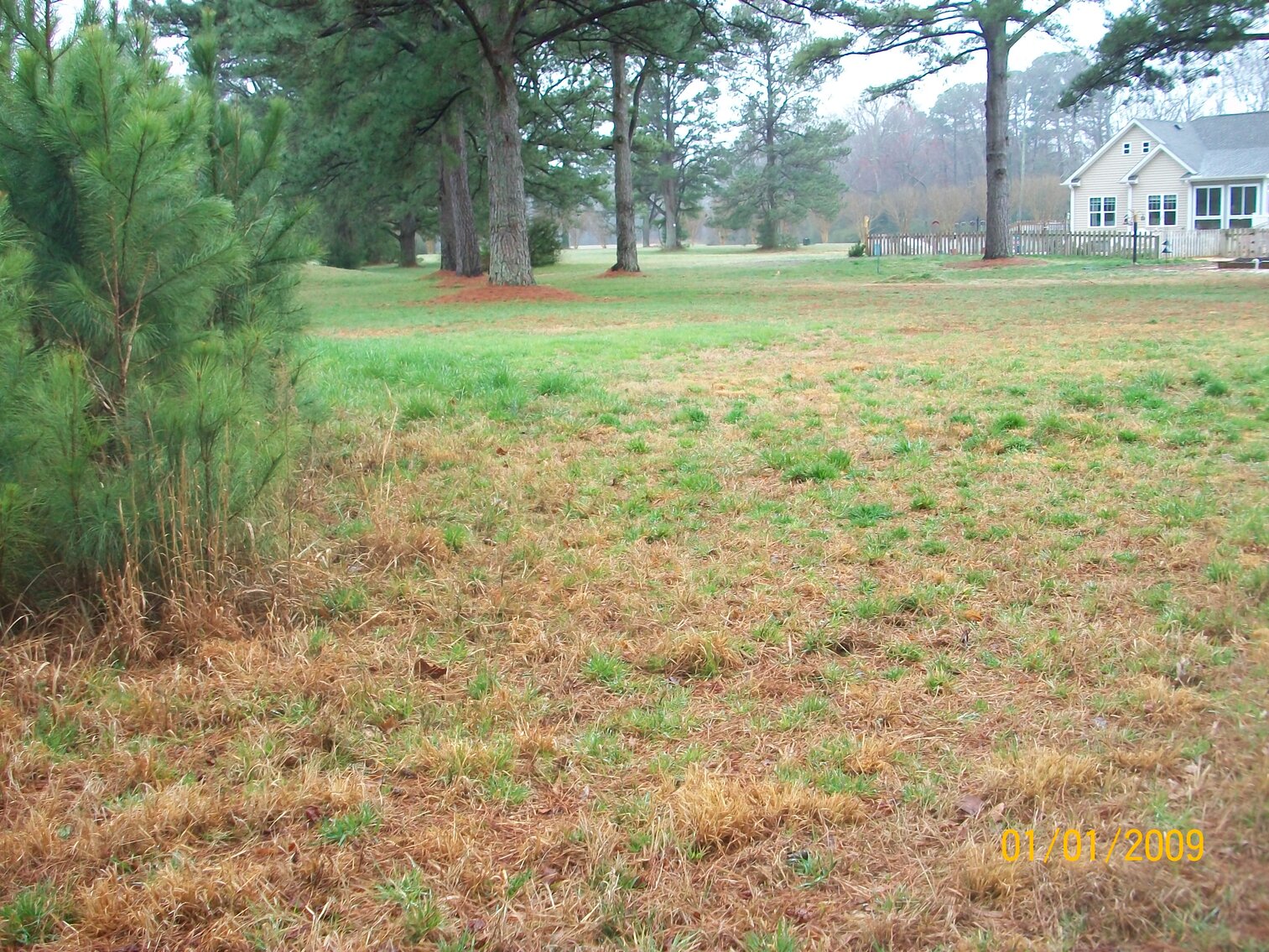 Image for Absolute Auction - Blue Ridge Bank - Weems VA