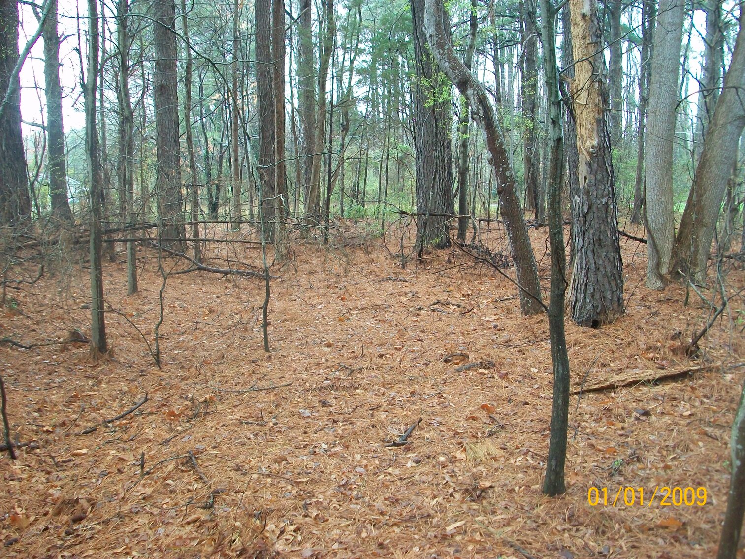 Image for Absolute Auction - Blue Ridge Bank - Weems VA