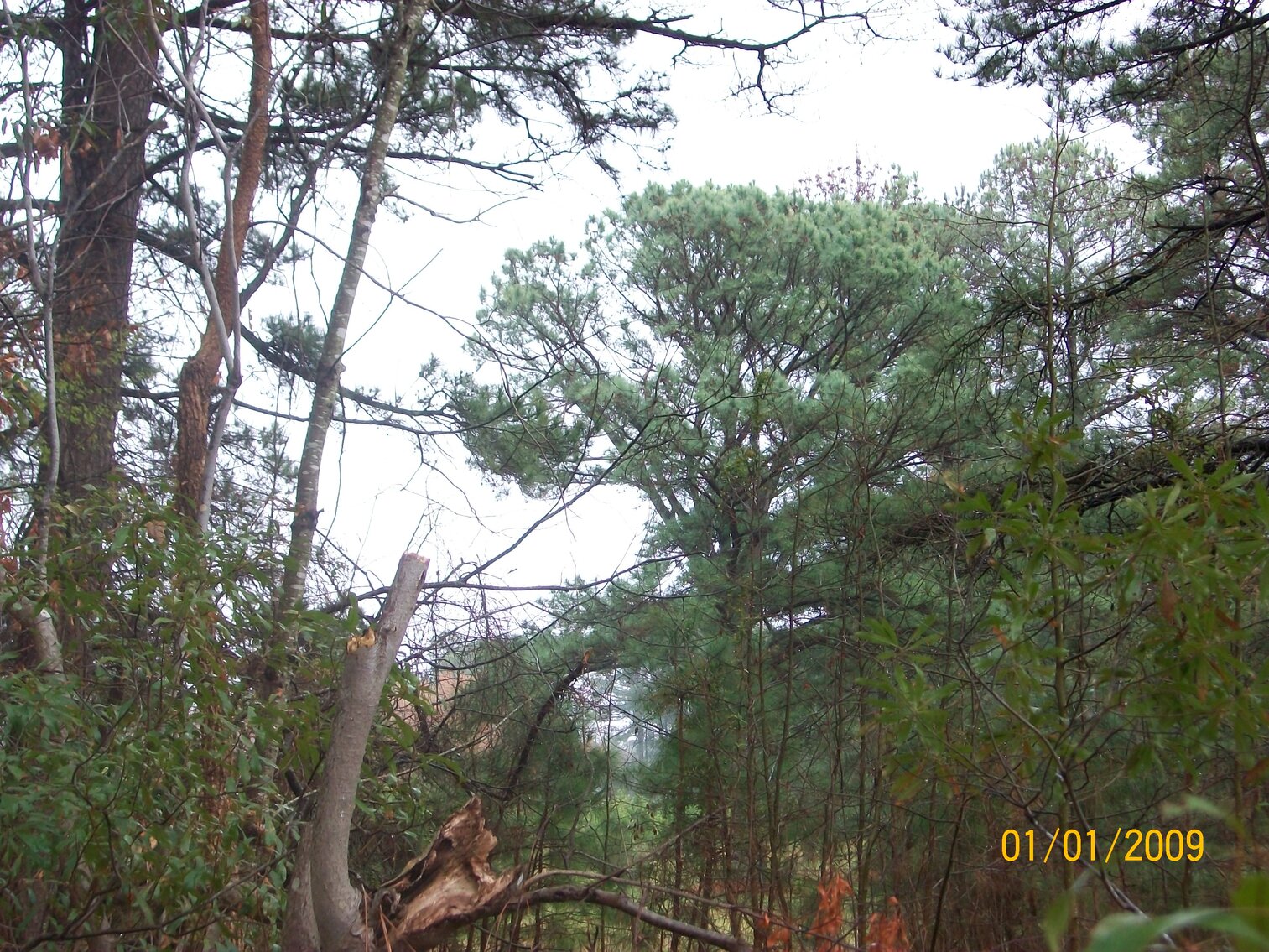 Image for Absolute Auction - Blue Ridge Bank - Weems VA