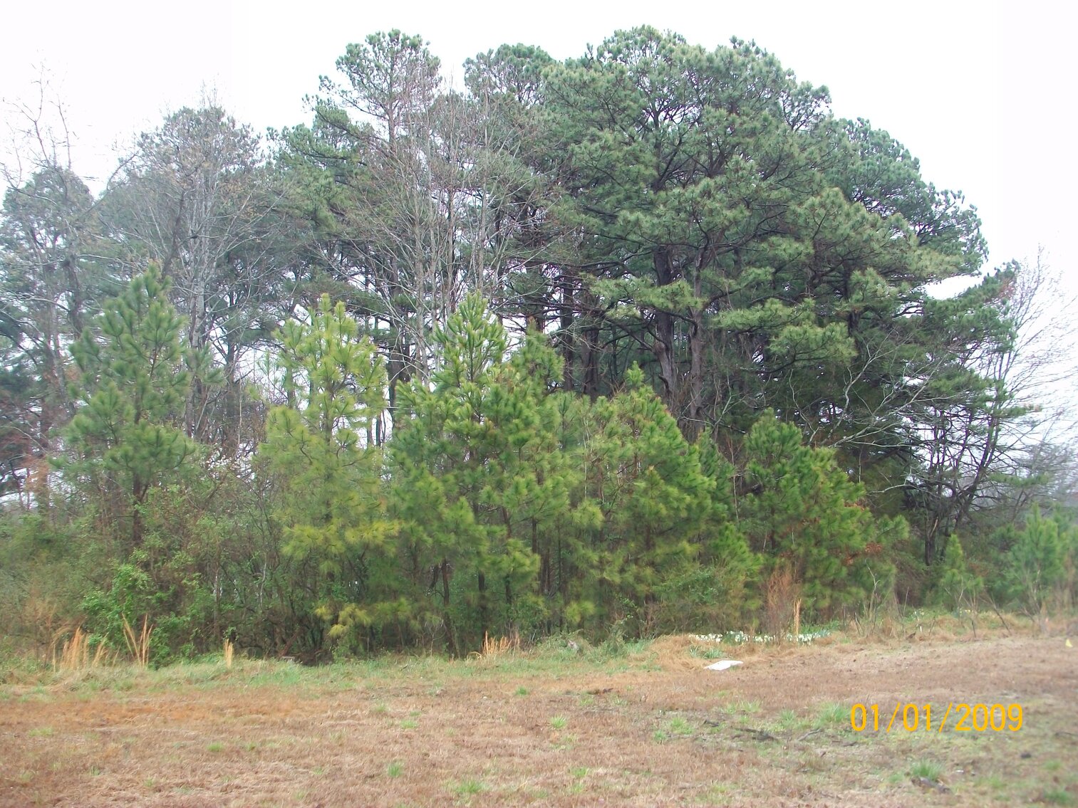 Image for Absolute Auction - Blue Ridge Bank - Weems VA