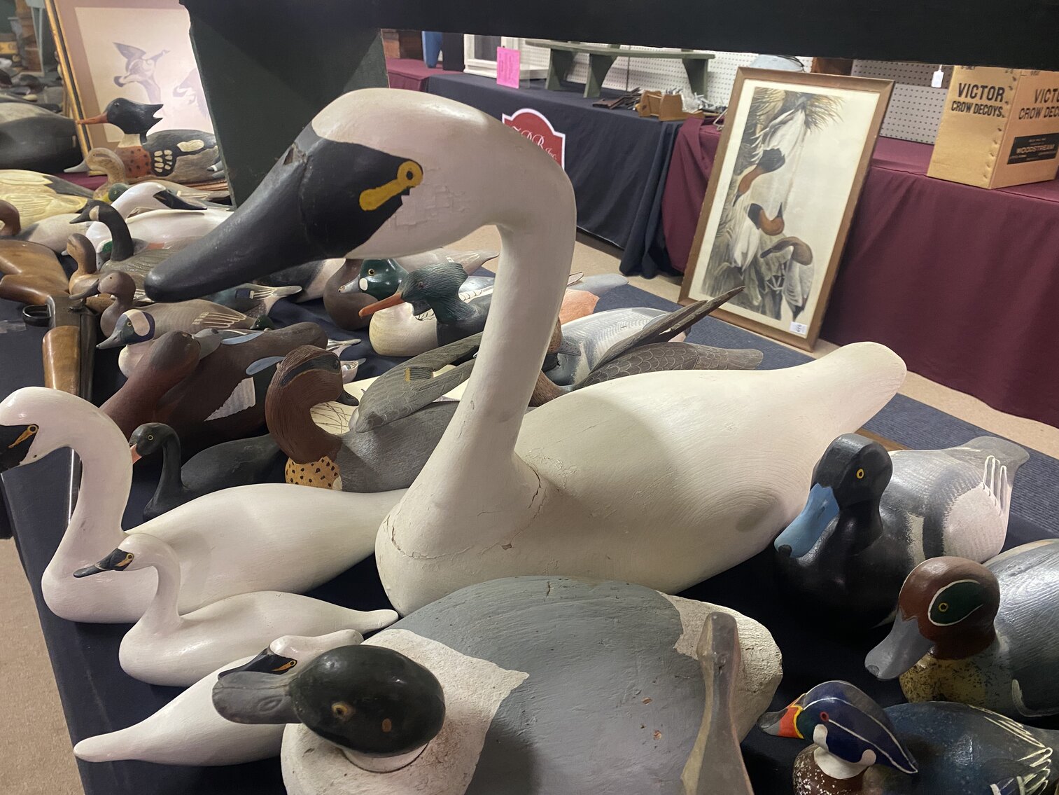 Image for Early Spring Live Auction at Zebs