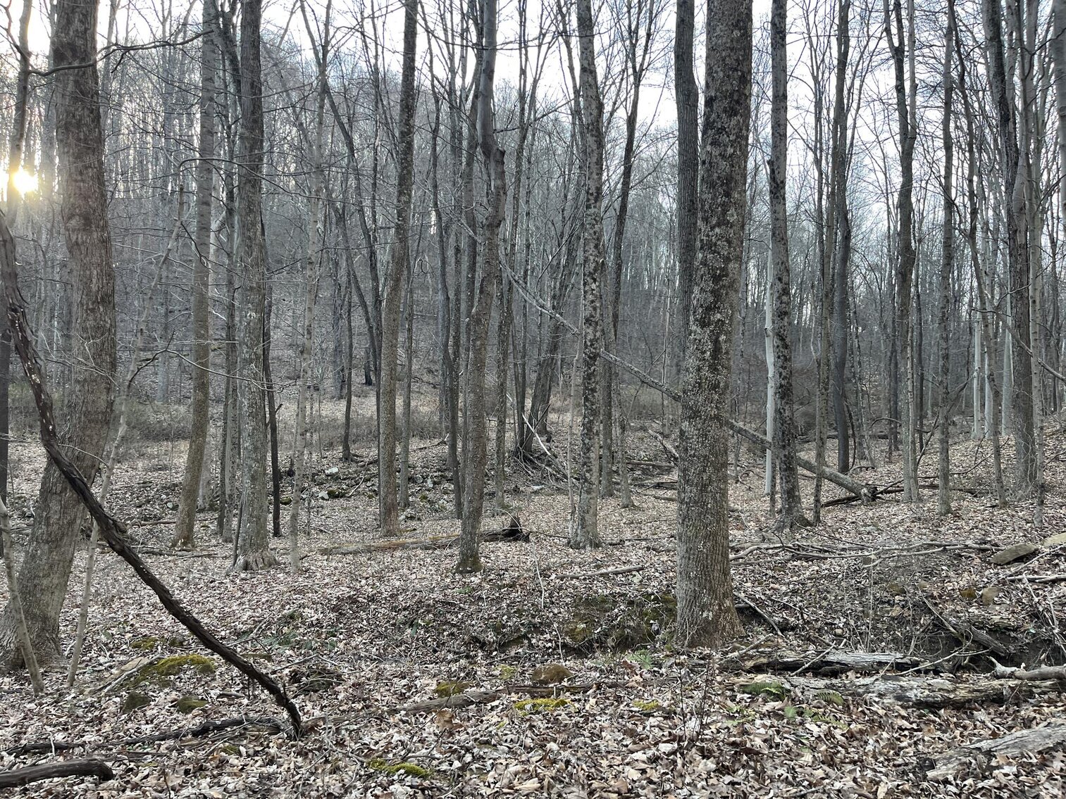 Image for SOLD $319,000 - Nearly 19 Acres Along Halleck Road