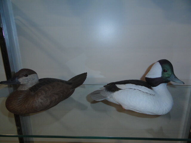 Image for Mar 16, 2023 Public Auction