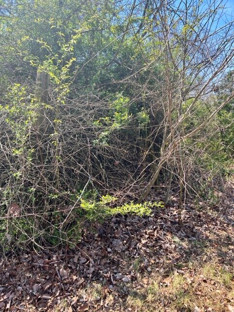 Image for 537 St. Lukes Church Road-REAL ESTATE