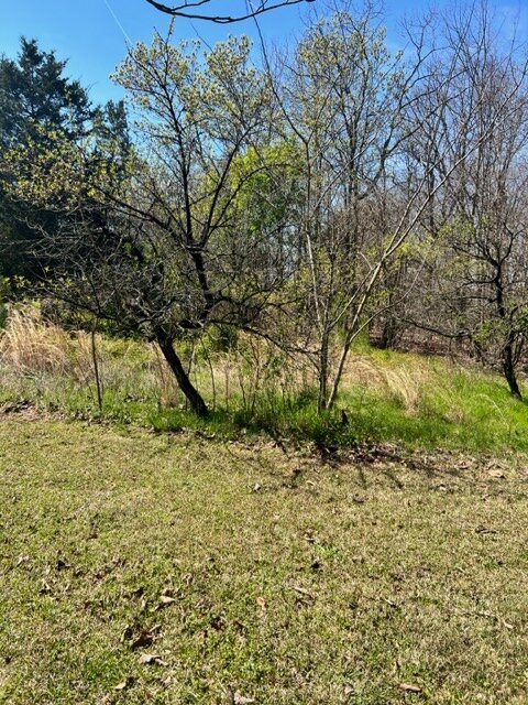 Image for 537 St. Lukes Church Road-REAL ESTATE