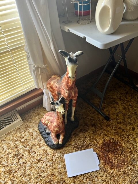 Image for 537 St. Lukes Church Road-CONTENTS