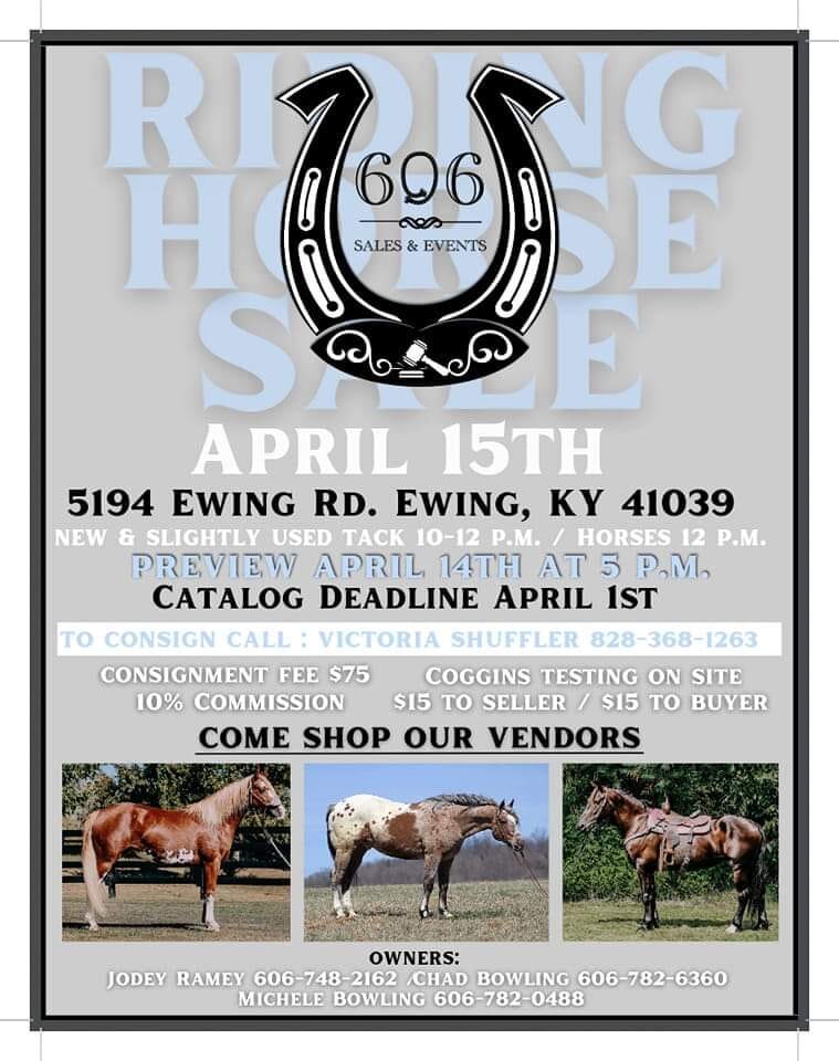 Image for 606 Spring Riding Horse Sale