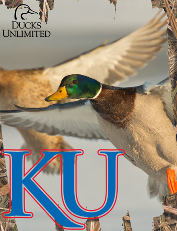 Image for University of Kansas Ducks Unlimited Bar Night & Auction