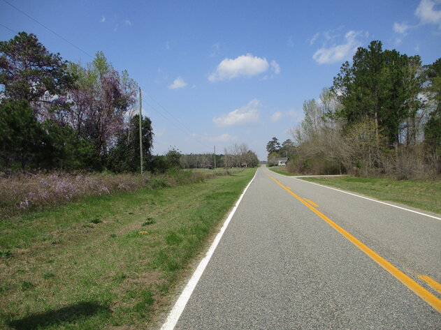 Image for LIVE AUCTION - 149.38 Acres on Marley Cannon Road in Laurens, County, Georgia