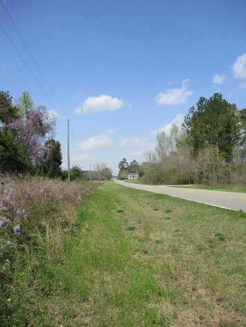 Image for LIVE AUCTION - 149.38 Acres on Marley Cannon Road in Laurens, County, Georgia