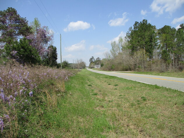 Image for LIVE AUCTION - 149.38 Acres on Marley Cannon Road in Laurens, County, Georgia