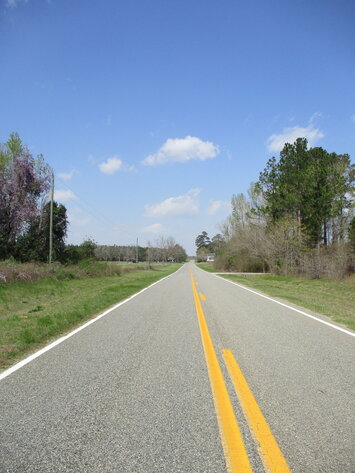 Image for LIVE AUCTION - 149.38 Acres on Marley Cannon Road in Laurens, County, Georgia