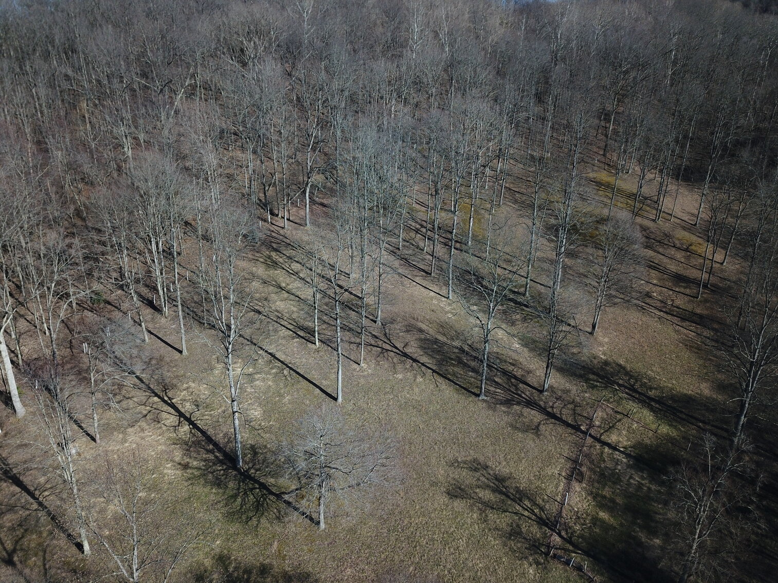 Image for SOLD $154,000 - 3 Bedroom on 10 Gently Sloping Acres