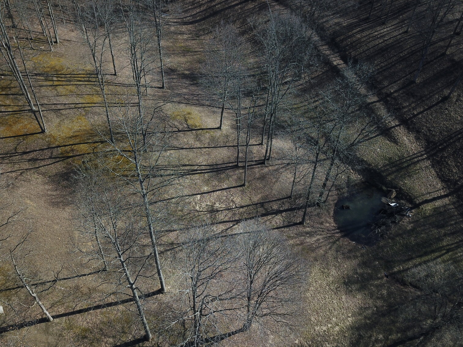 Image for SOLD $154,000 - 3 Bedroom on 10 Gently Sloping Acres