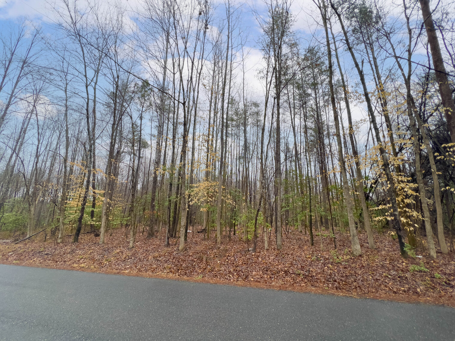 Image for Spotsylvania County Sale of Tax Delinquent Real Estate