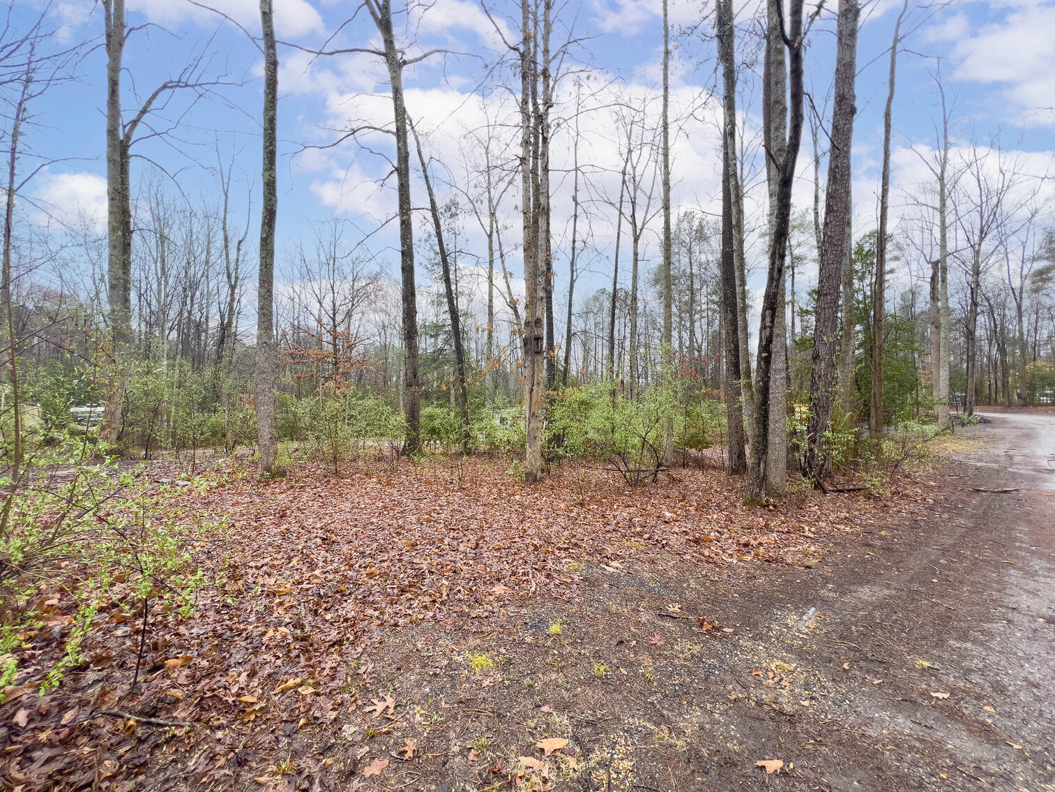 Image for Spotsylvania County Sale of Tax Delinquent Real Estate