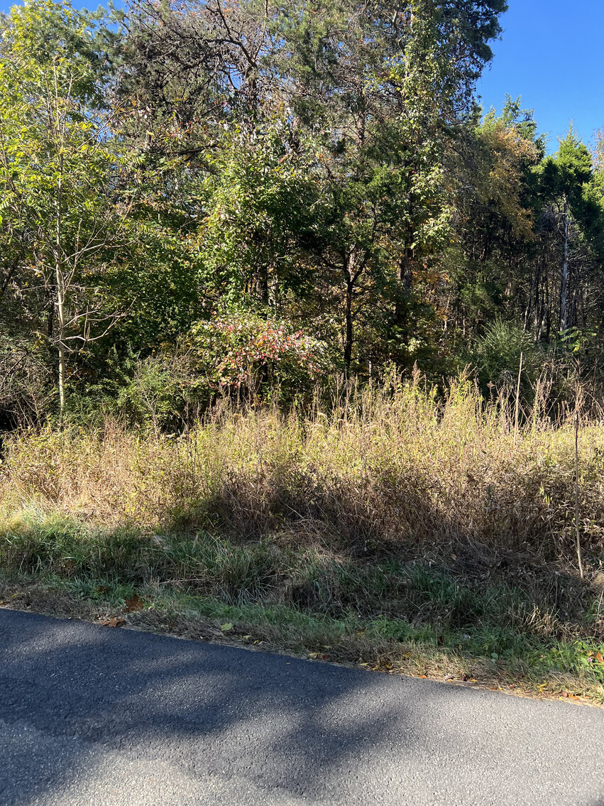 Image for Essex County Sale of Tax Delinquent Real Estate