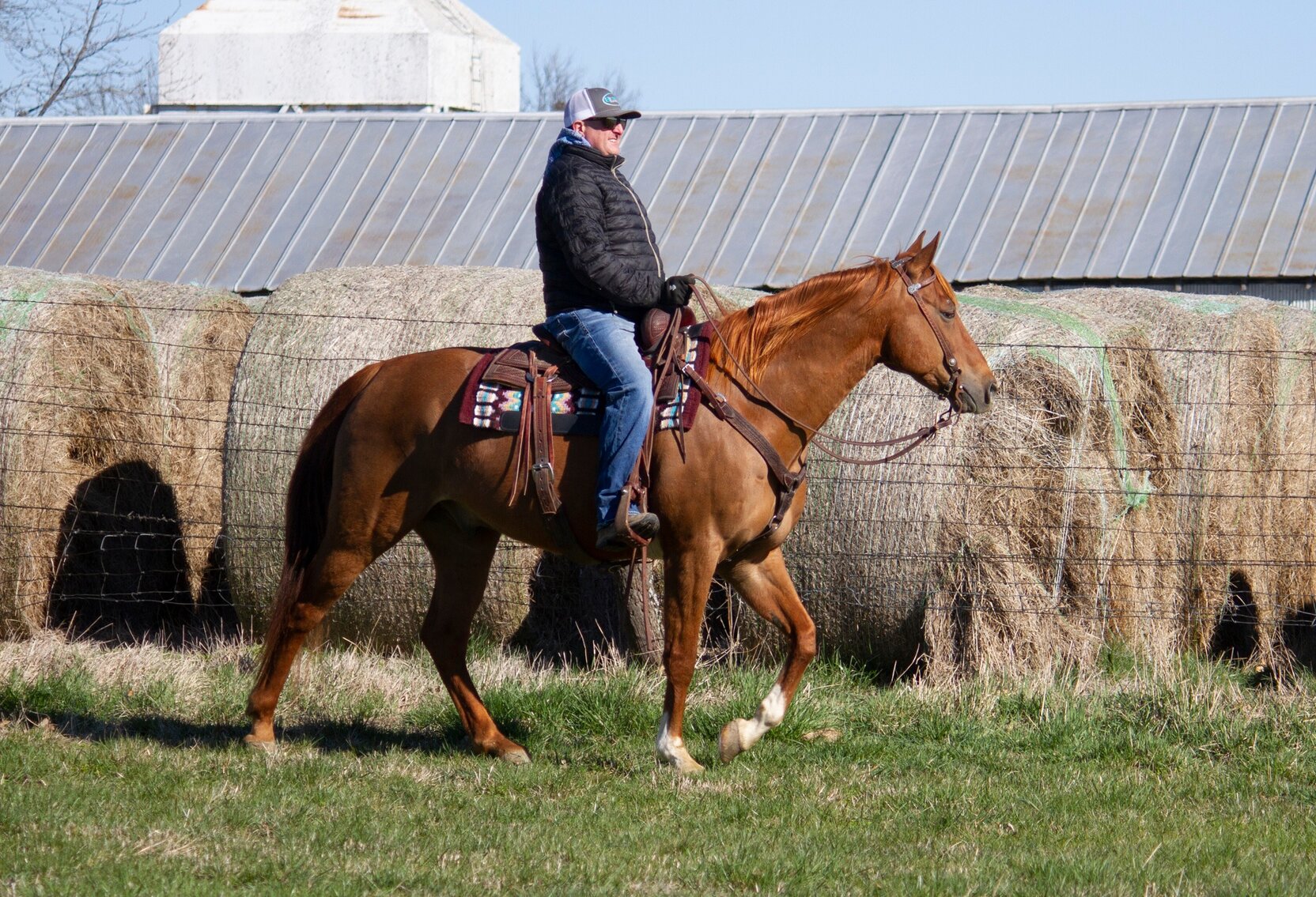 Image for Missouri Horse Auction Springfield, MO FRIDAY, March 31st!
