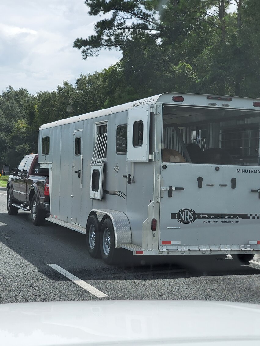 Image for Ocala Horse Sale April 1st - Ocala, Florida