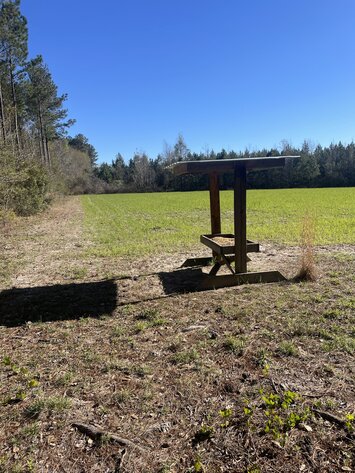 Image for LIVE AUCTION - 149.38 Acres on Marley Cannon Road in Laurens, County, Georgia