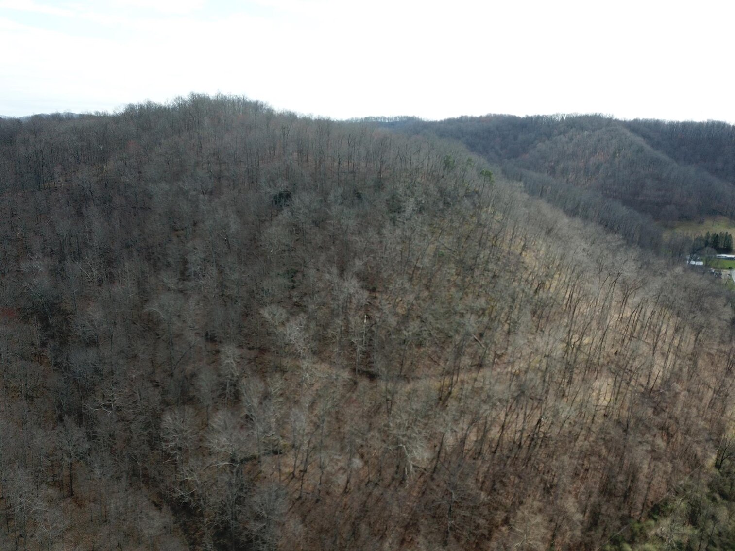 Image for SOLD $53,350 - 53 Acres Selling to the Highest Bidder