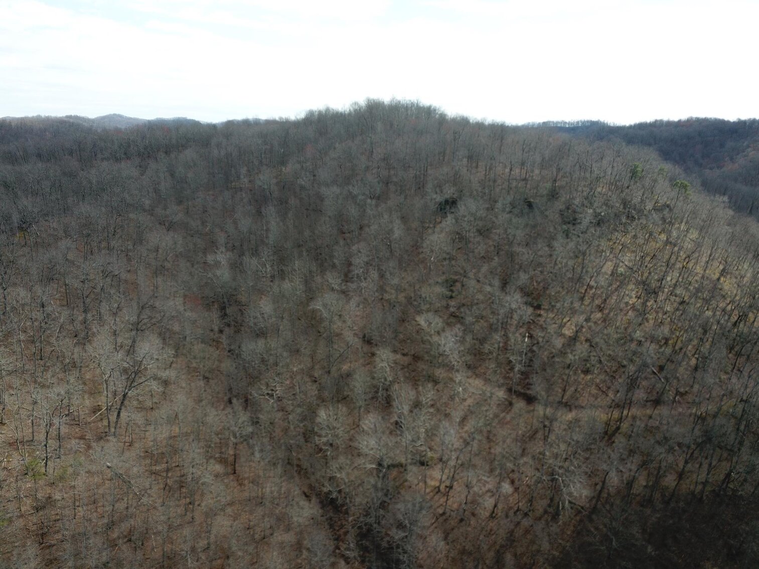 Image for SOLD $53,350 - 53 Acres Selling to the Highest Bidder