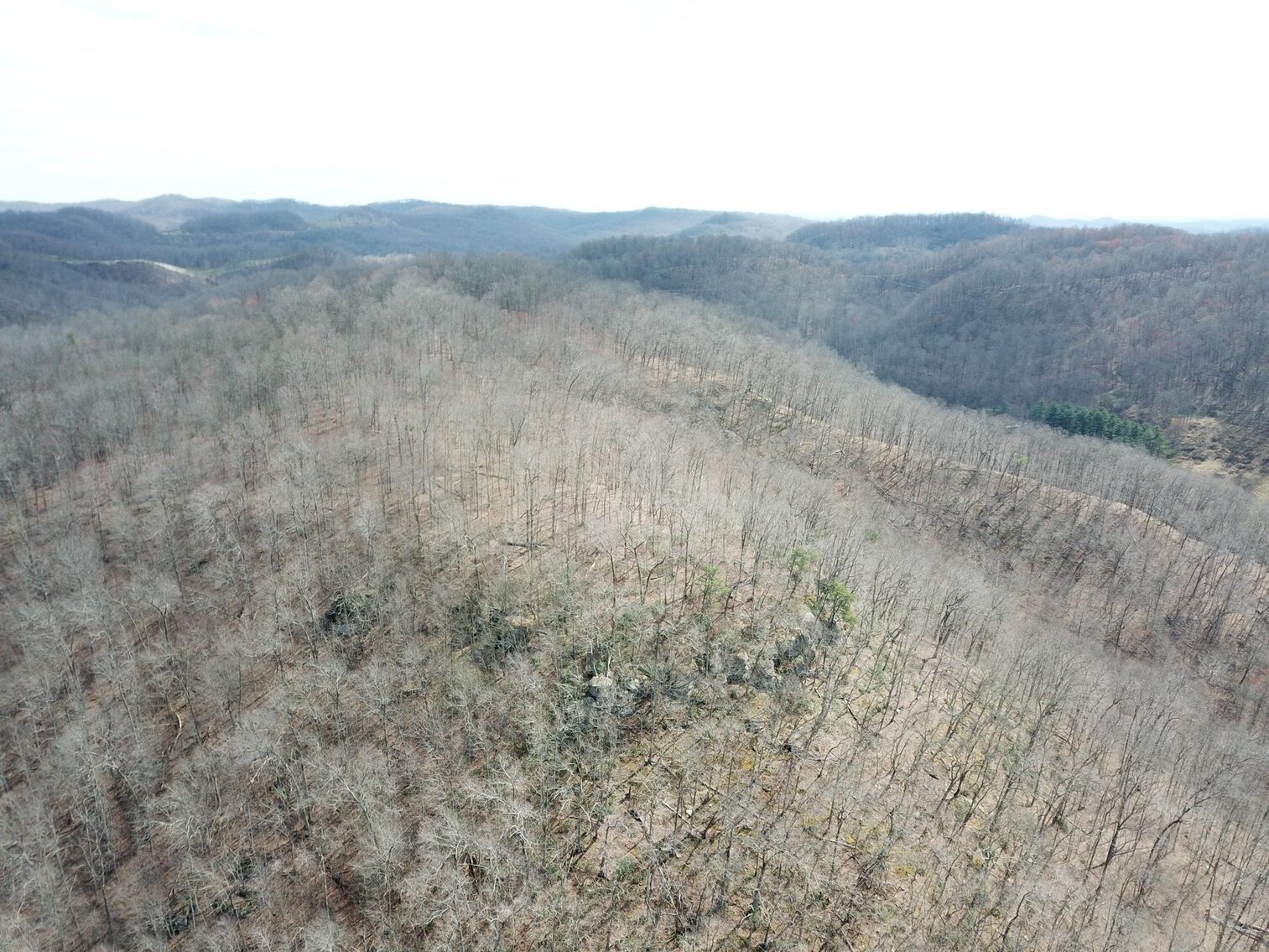 Image for SOLD $53,350 - 53 Acres Selling to the Highest Bidder