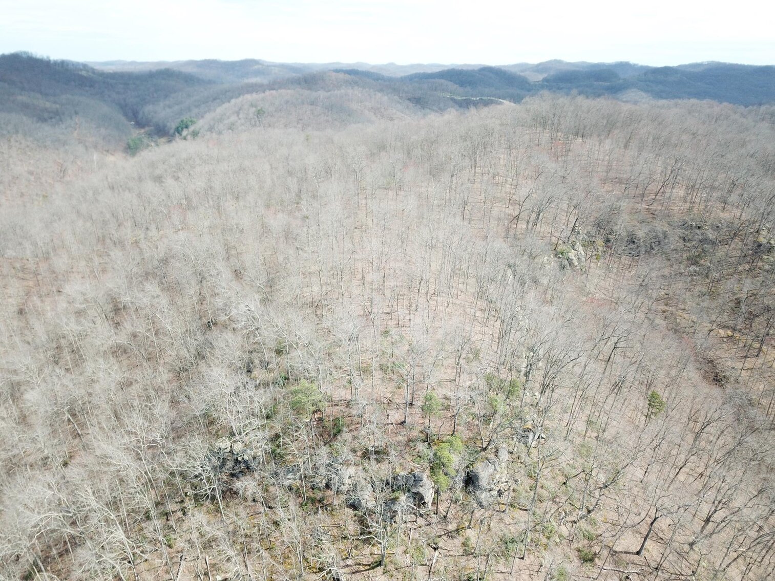 Image for SOLD $53,350 - 53 Acres Selling to the Highest Bidder