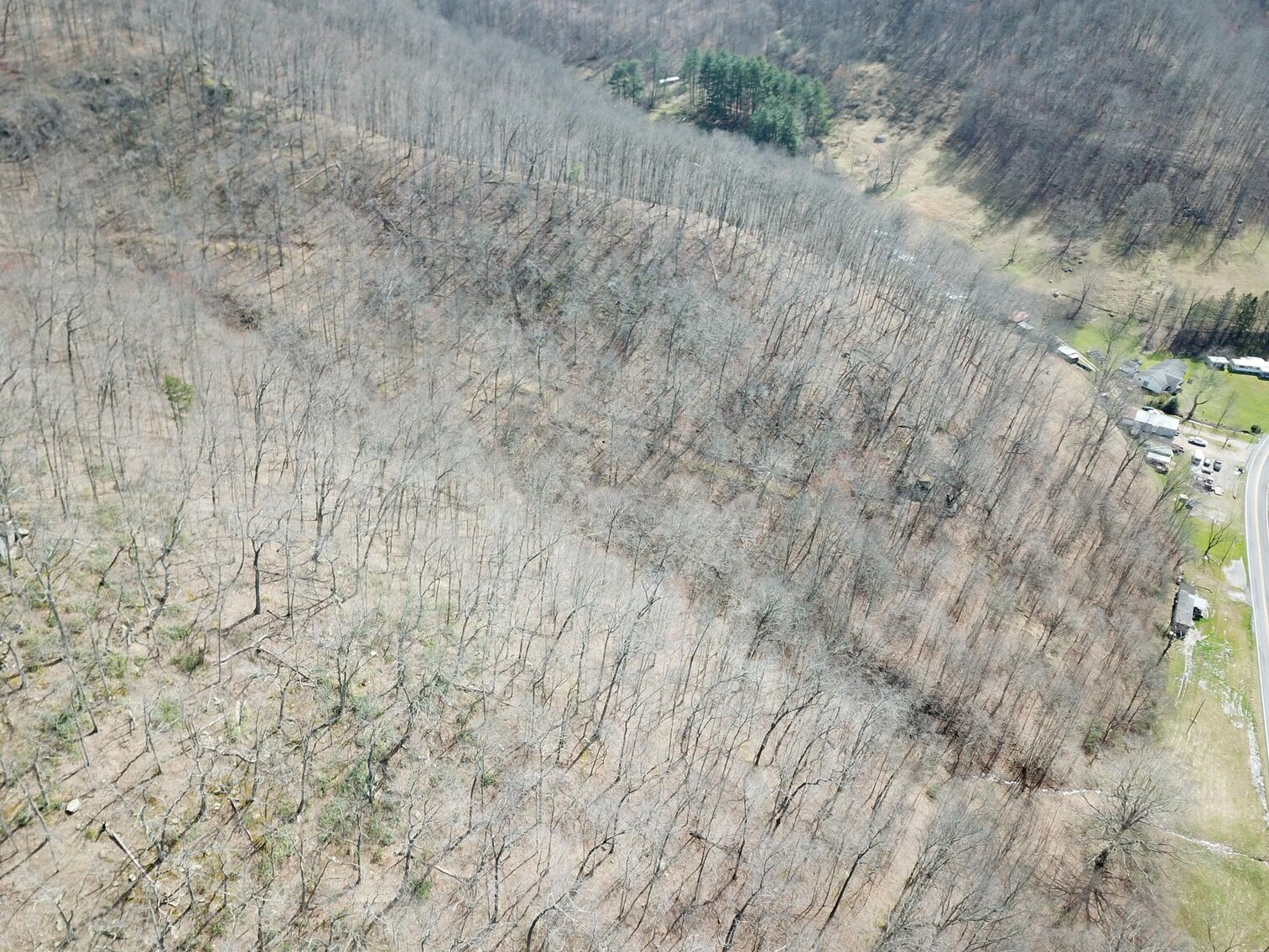 Image for SOLD $53,350 - 53 Acres Selling to the Highest Bidder