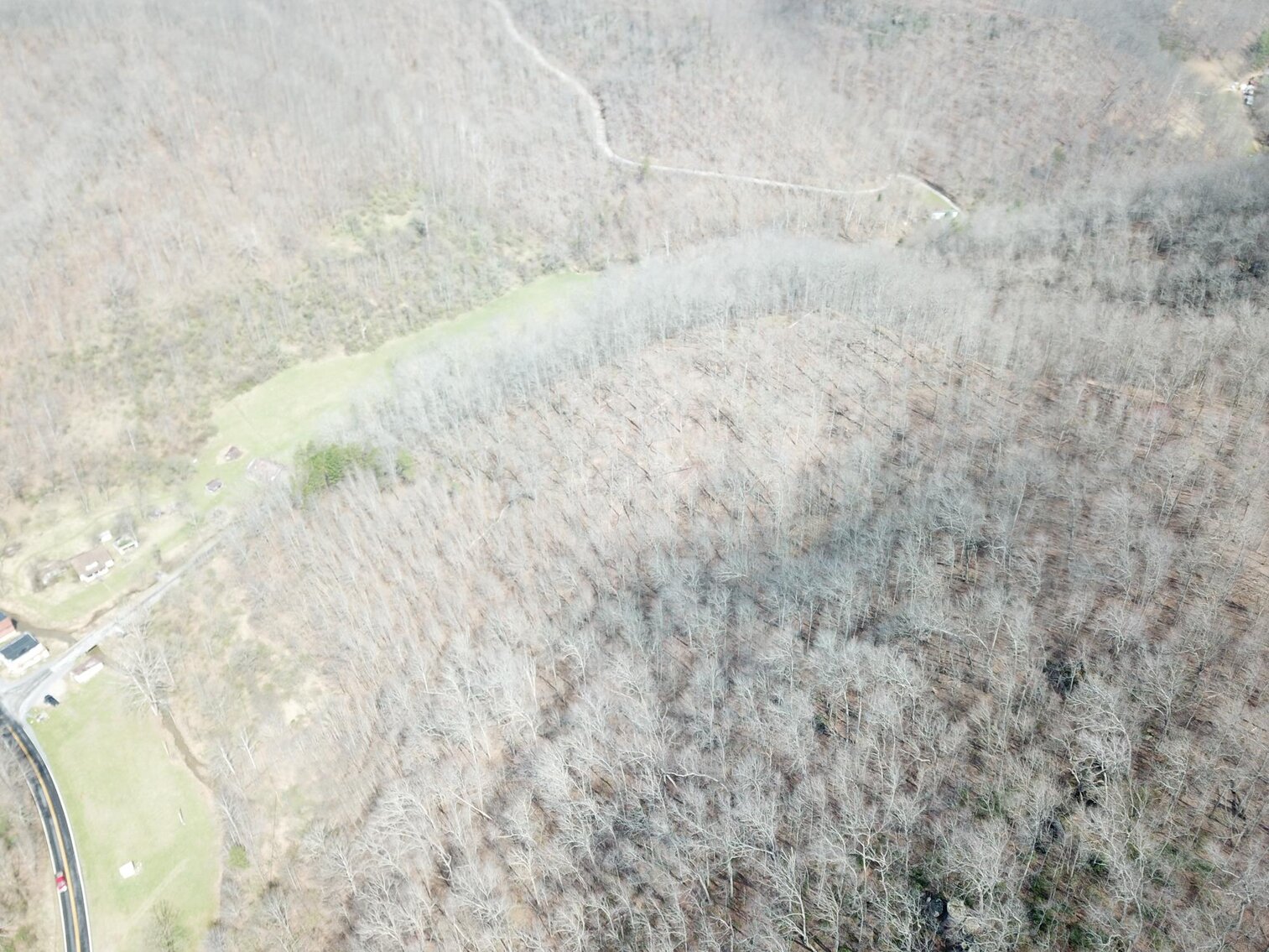 Image for SOLD $53,350 - 53 Acres Selling to the Highest Bidder