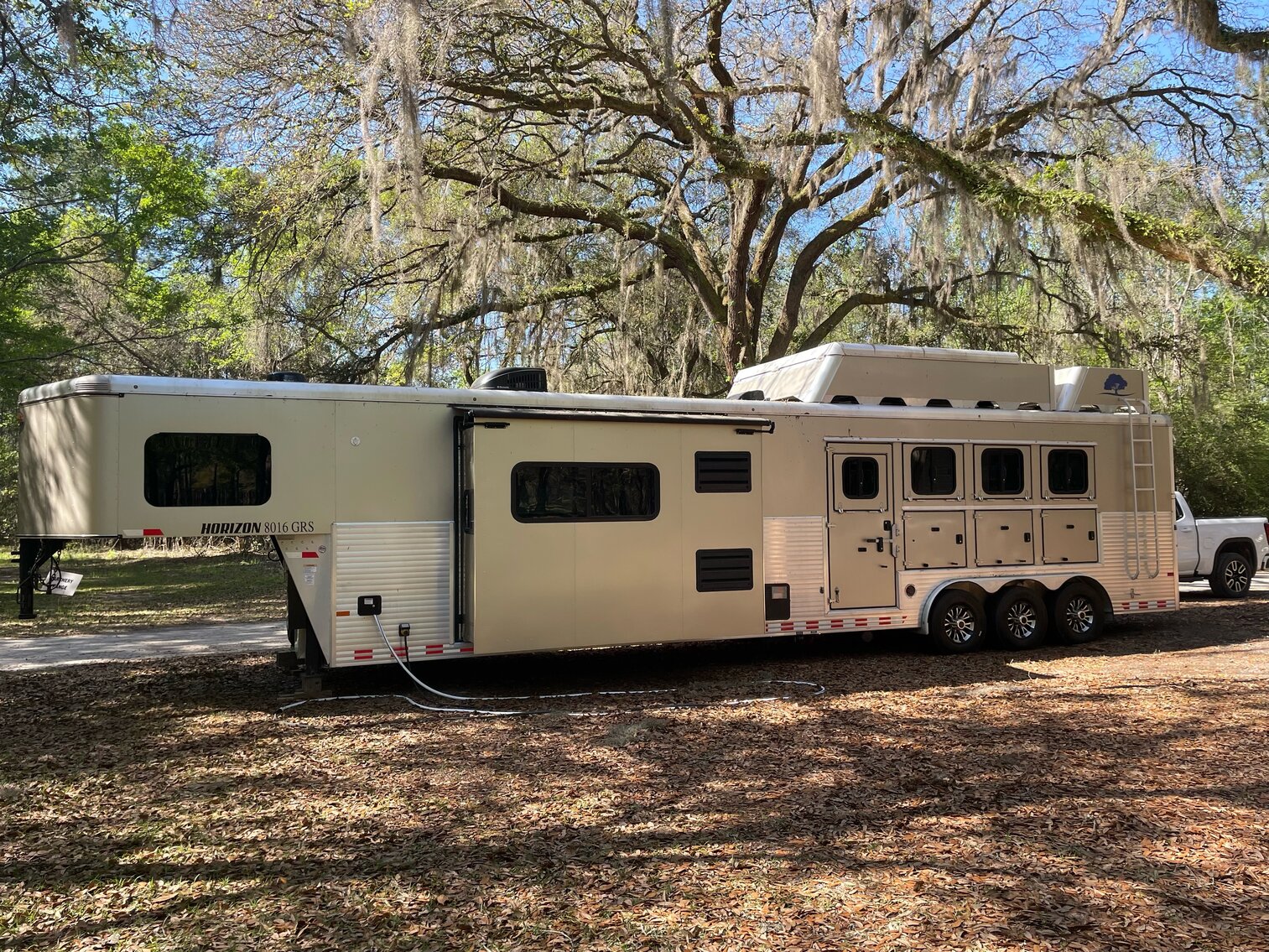 Image for Ocala Horse Sale April 1st - Ocala, Florida