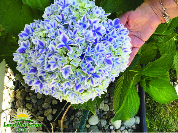 Image for 703 East Benton Street - O'Neill, NE