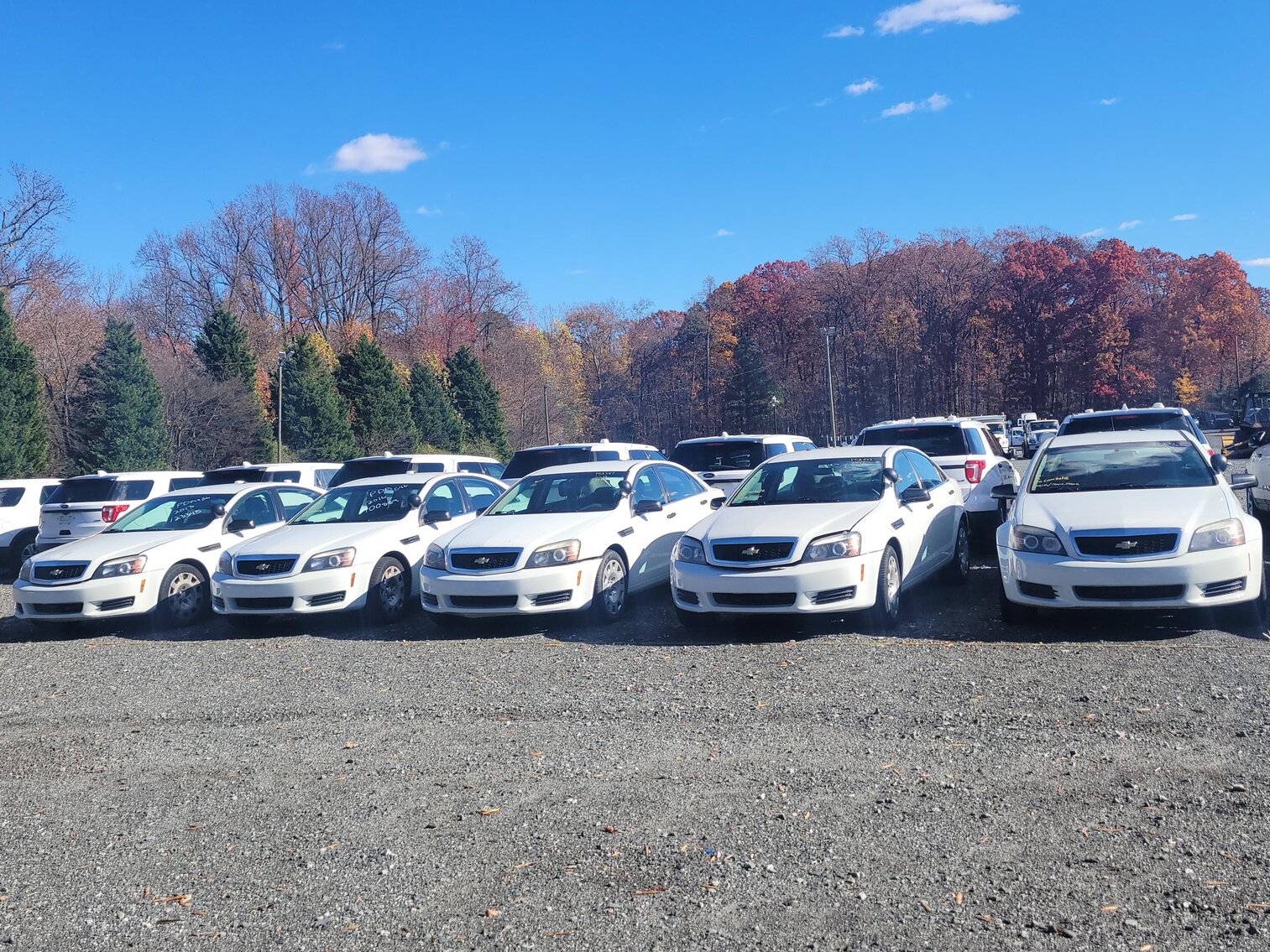 Image for City of Charlotte Rolling Stock Auction