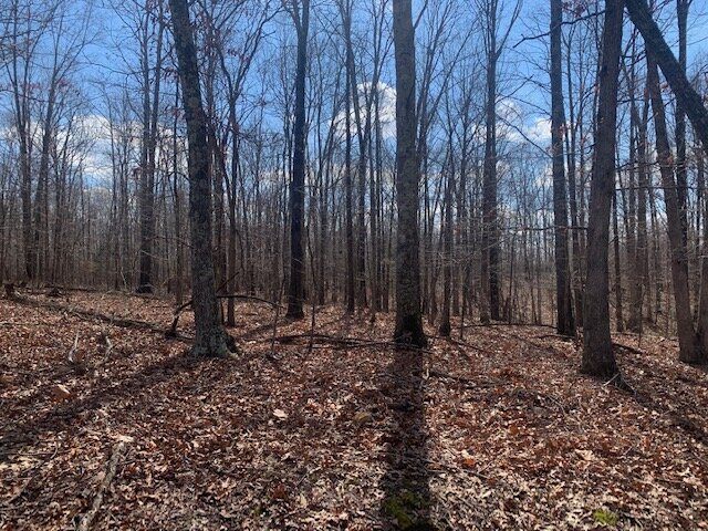 7 Residential Lots - 8.05 acres - Hickman County