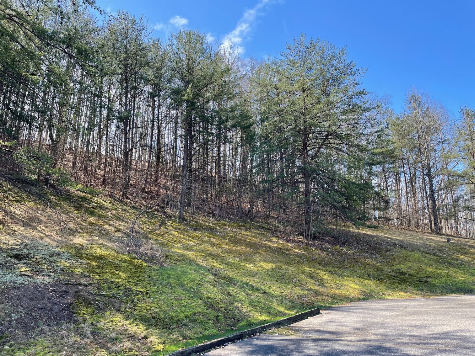 Image for SOLD $467,500 - 15,000 sqft. Building on 15 Acres