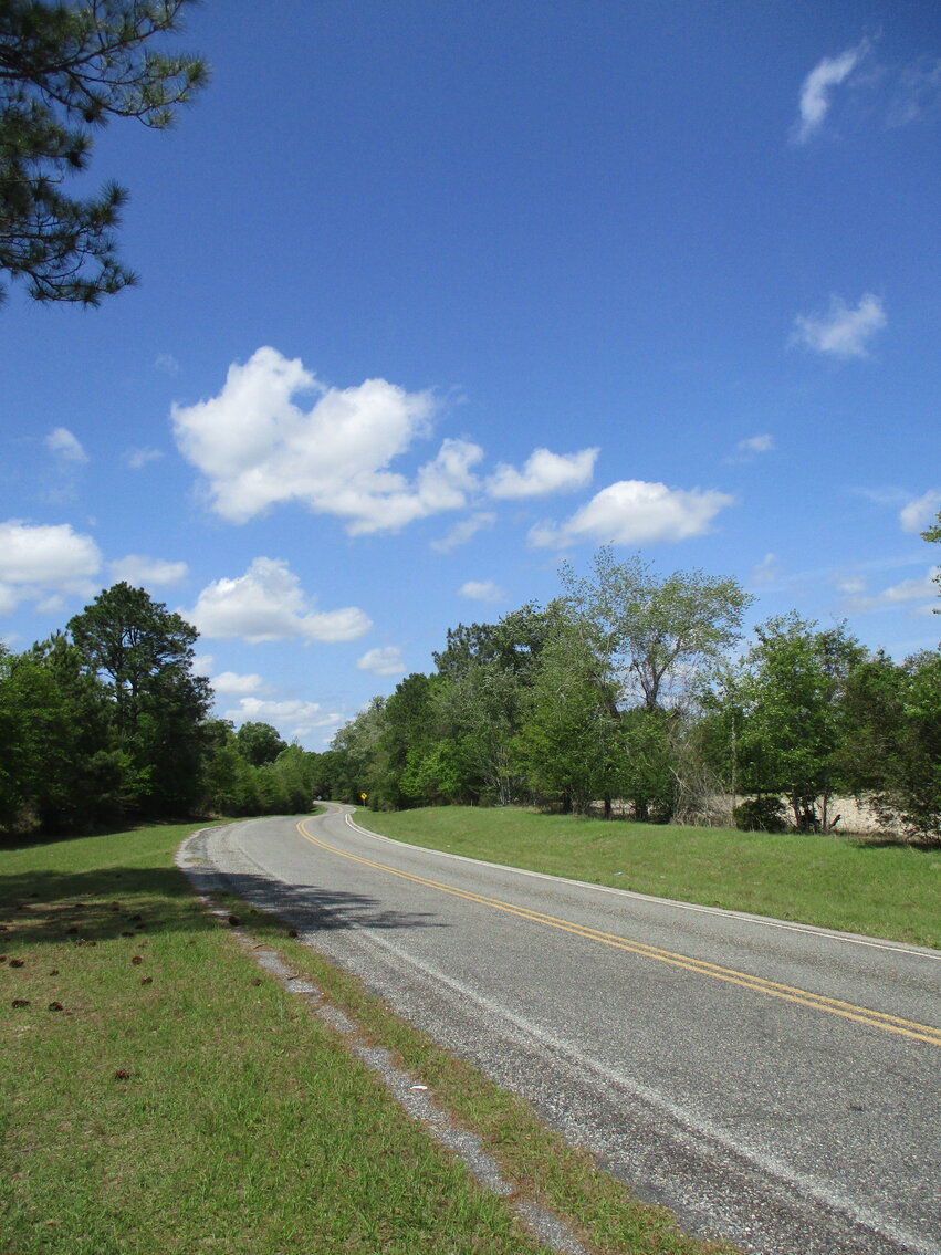 149.95 Acres Located on I 16 Exit 71 in Treutlen County,