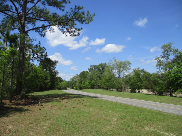 Image for ONLINE AUCTION - 149.95 Acres Located on  I- 16 @ Exit 71  in  Treutlen County, Georgia