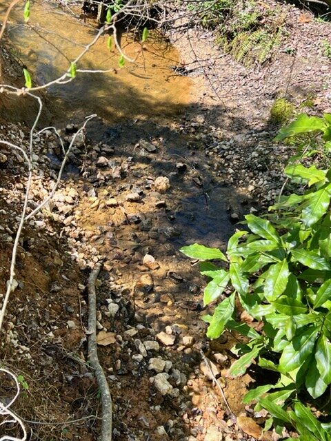 Image for 819 Gordon Court-REAL ESTATE