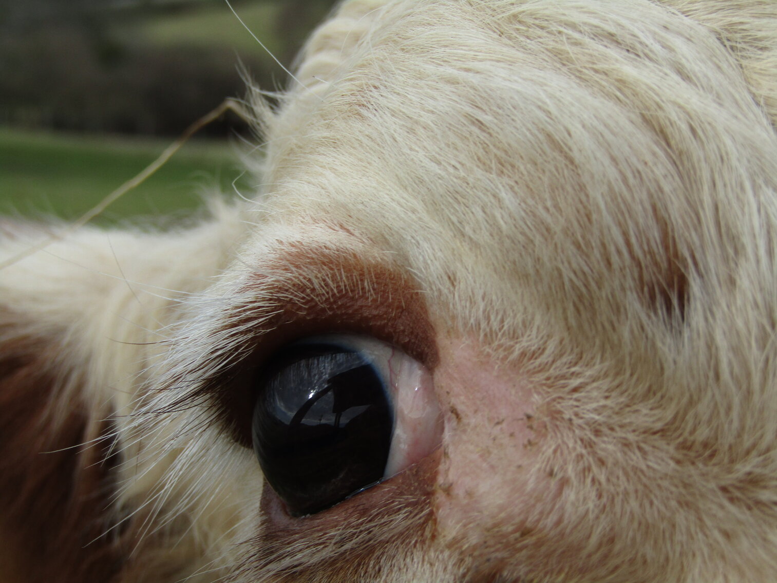 Image for April 6, 2023 - TEST AUCTION