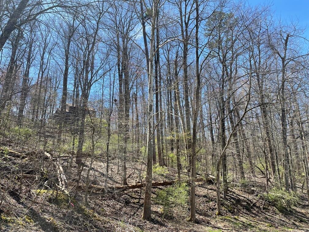 Image for SOLD $11,000 - 2.5 Acres in Hurricane Selling to the Highest Bidder