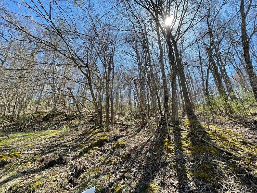 Image for SOLD $11,000 - 2.5 Acres in Hurricane Selling to the Highest Bidder