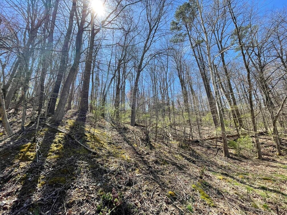 Image for SOLD $11,000 - 2.5 Acres in Hurricane Selling to the Highest Bidder