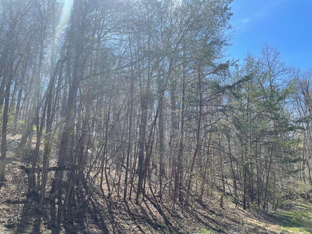 Image for SOLD $11,000 - 2.5 Acres in Hurricane Selling to the Highest Bidder