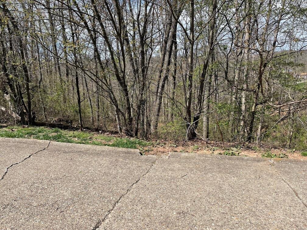 Image for SOLD $11,000 - 2.5 Acres in Hurricane Selling to the Highest Bidder